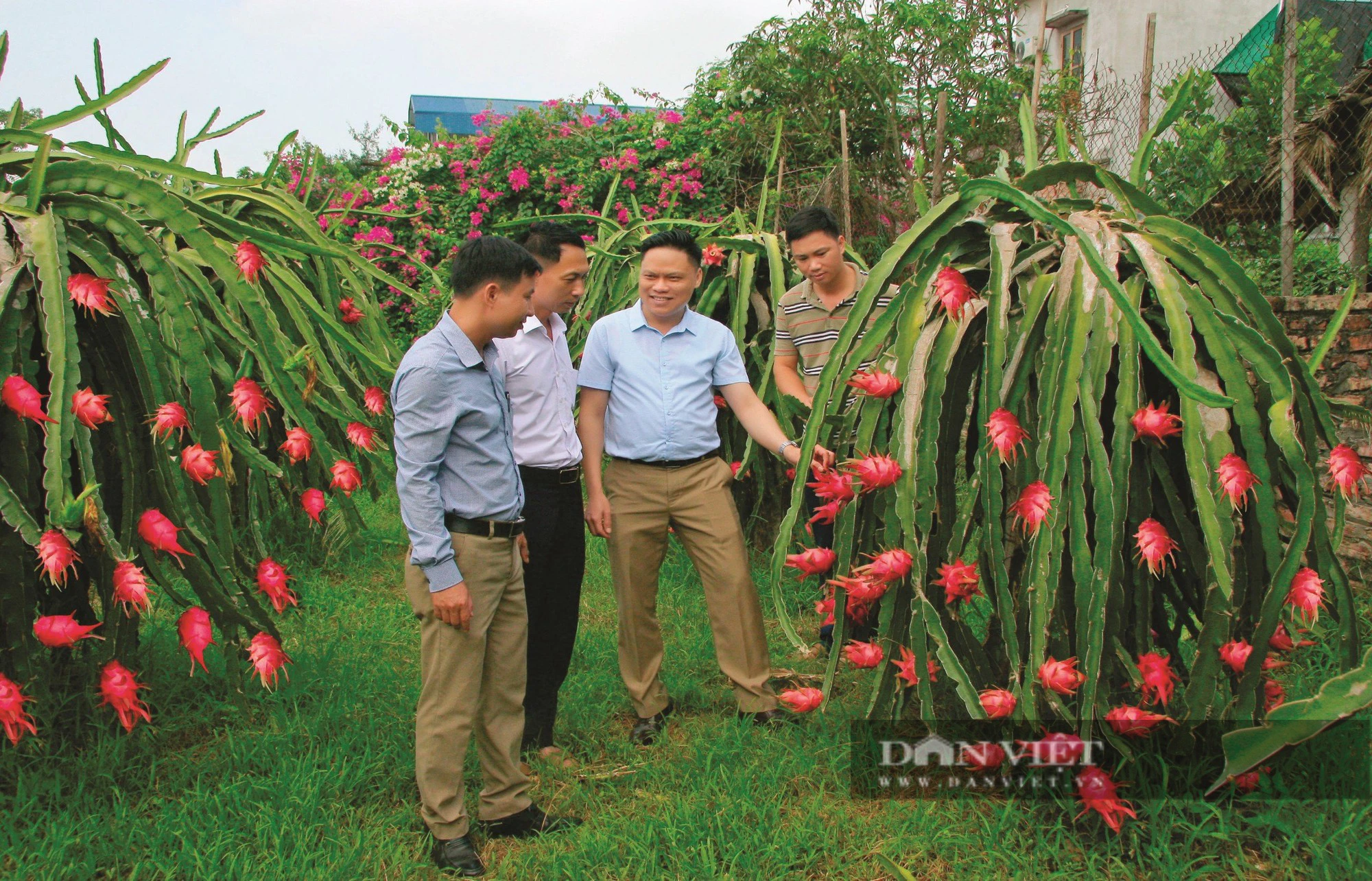 Xây dựng nông thôn mới ở Yên Bái: Từ &quot;lượng&quot; sang &quot;chất&quot; Bài 1: Nâng tầm nông thôn mới - Ảnh 1.