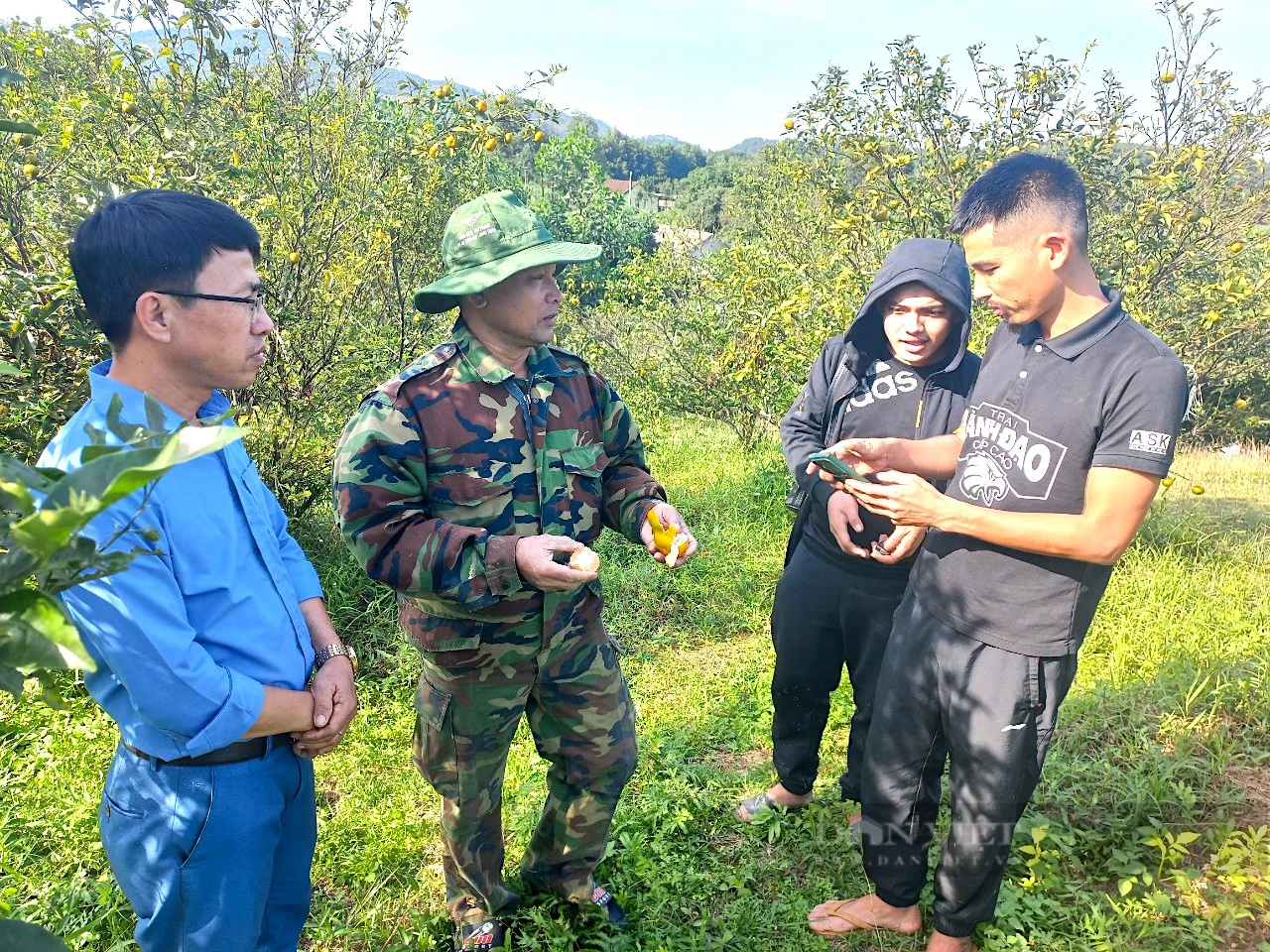 Hà Tĩnh: Nông dân khóc ròng, nguy cơ mất trắng vì cây đặc sản rụng thối quả hàng loạt sau lũ - Ảnh 1.