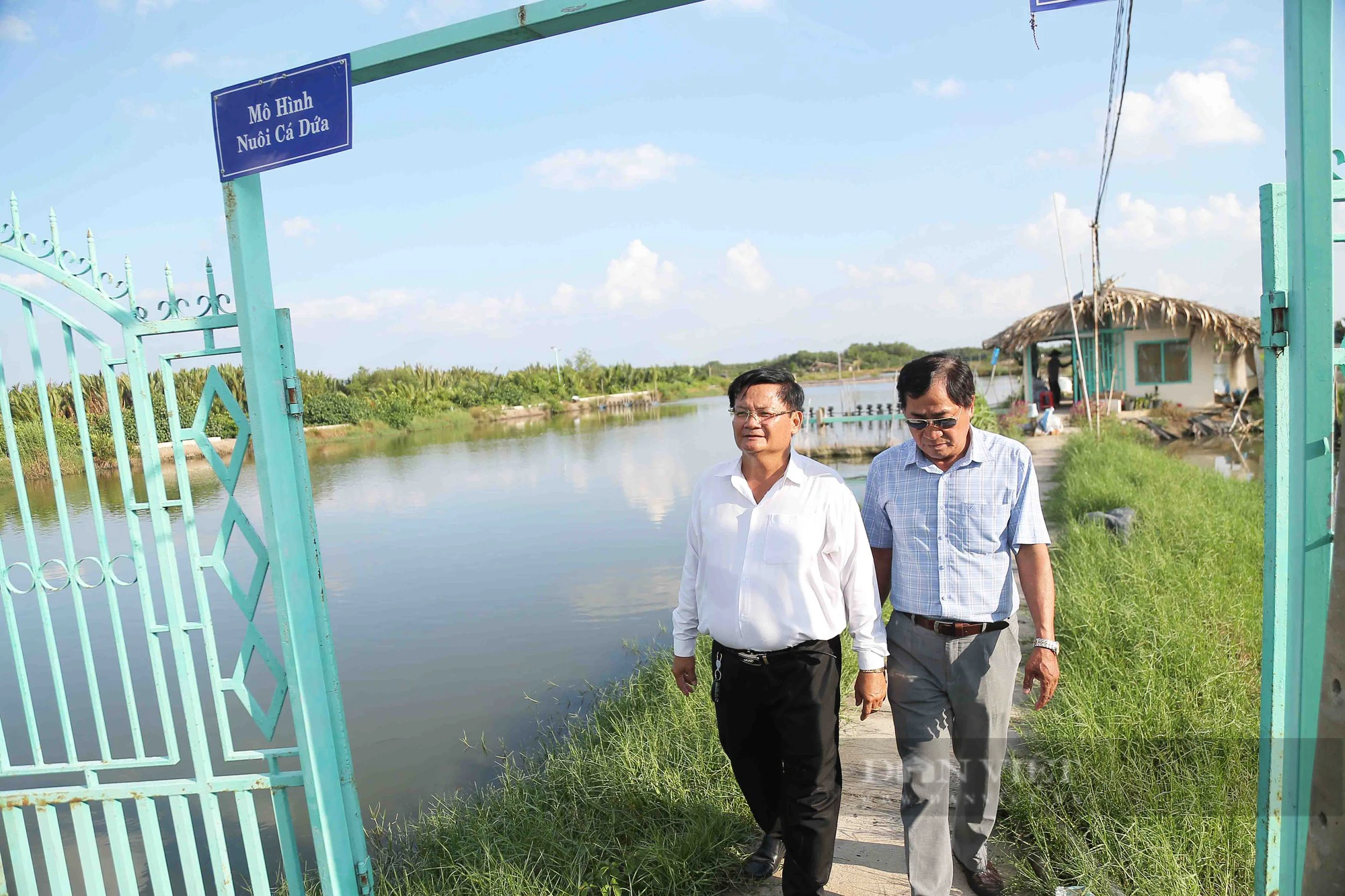 Nông dân đô thị làm giàu, người trồng mai, người nuôi bò, tôm thu tiền tỷ- Ảnh 2.