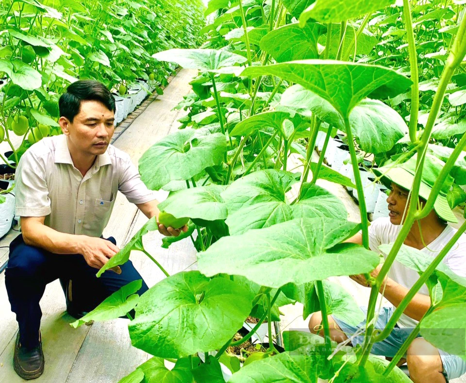Hội Nông dân tỉnh Ninh Bình điểm sáng trong xây dựng chuỗi cửa hàng nông sản an toàn - Ảnh 3.