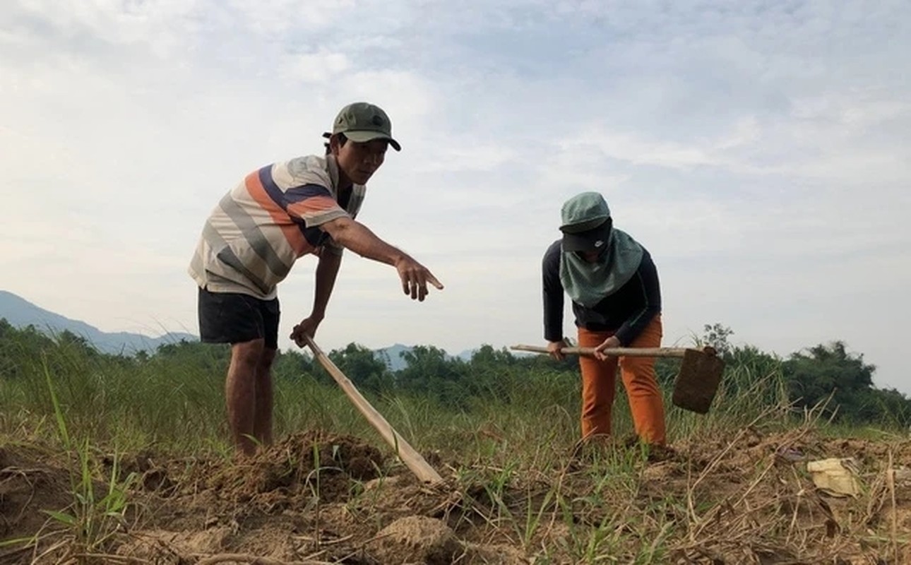 Loại “thần dược phòng the” béo mũm mĩm khiến dân đổ xô tìm, kiếm tiền triệu mỗi ngày - Ảnh 8.