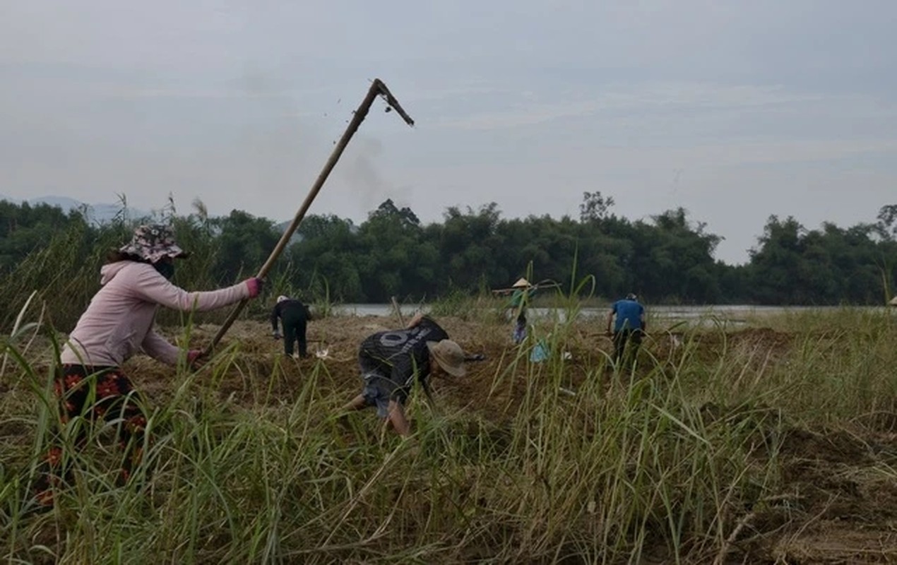 Loại “thần dược phòng the” béo mũm mĩm khiến dân đổ xô tìm, kiếm tiền triệu mỗi ngày - Ảnh 9.