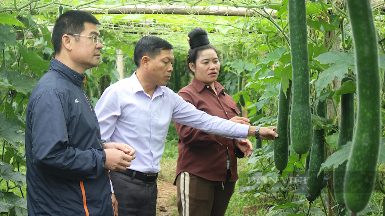 Cần nâng cao “Cơ chế, chính sách cho chi hội trưởng nông dân” - Ảnh 6.