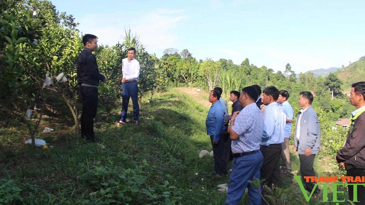 Hỗ trợ hội viên nông dân vùng cao Sơn La vươn lên làm giàu - Ảnh 3.