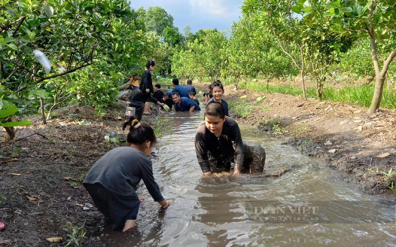 Khách du lịch trải nghiệm trò chơi bắt cá tại một khu du lịch sinh thái ở quận 12, TP.HCM. Ảnh: Nam Bình