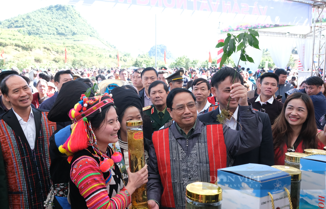 Thủ tướng Phạm Minh Chính thăm vườn sâm Lai Châu tại xã Sà Dề Phìn - Ảnh 1.