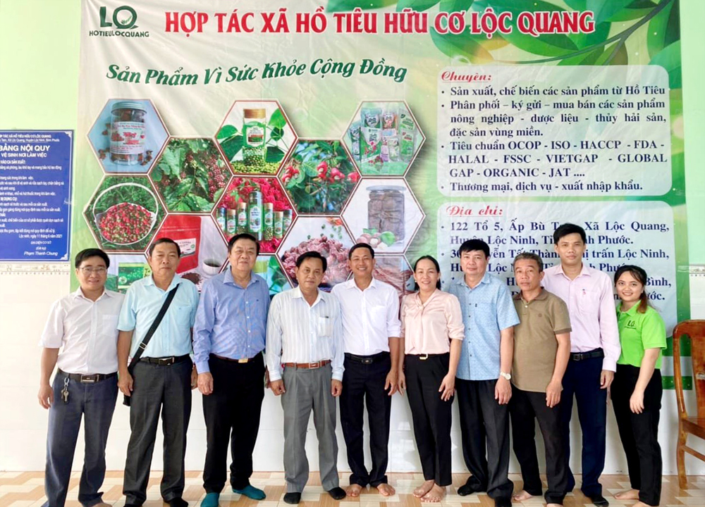 Hội nông dân huyện Lộc Ninh hướng dẫn các HTX tham gia vào Liên minh HTX để được vay vốn phát triển sản xuất như: hỗ trợ xây dựng nhà xưởng chế biến tiêu tại HTX Hồ tiêu Hữu cơ Lộc Quang tổng trị giá 750 triệu đồng. Ảnh: Nguyễn Vy