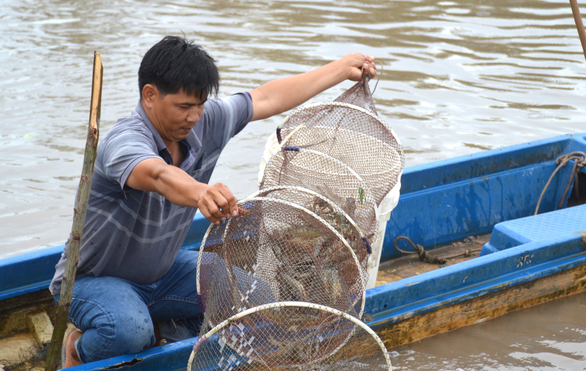 Áp dụng khoa học kỹ thuật vào nuôi tôm, nông dân Cà Mau làm tăng năng suất hàng trăm kg/ha - Ảnh 1.