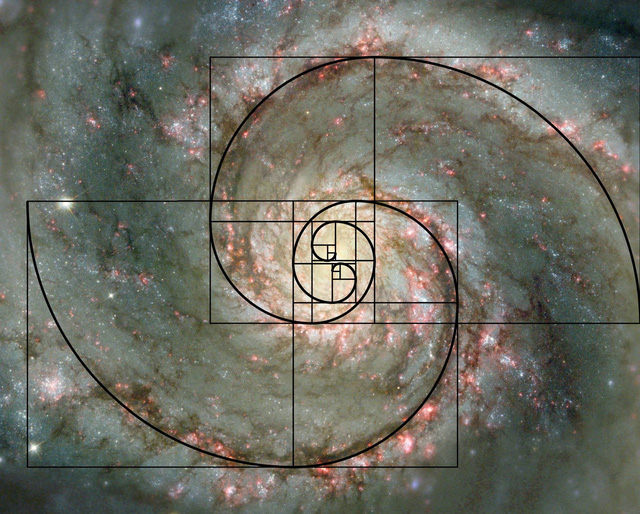 Dãy số Fibonacci và tỷ lệ vàng: bí ẩn của Vũ trụ hay chỉ đơn giản là sự trùng hợp? - Ảnh 6.