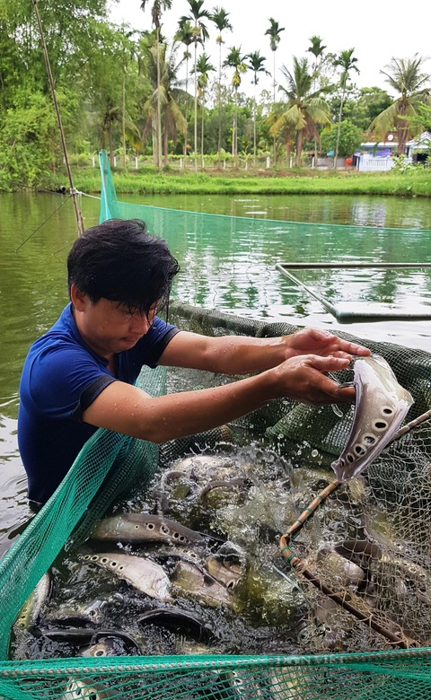 Phó Chủ tịch HND TP.Đà Nẵng: Cần có cơ chế, chính sách phù hợp cho Chi hội trưởng nông dân - Ảnh 5.