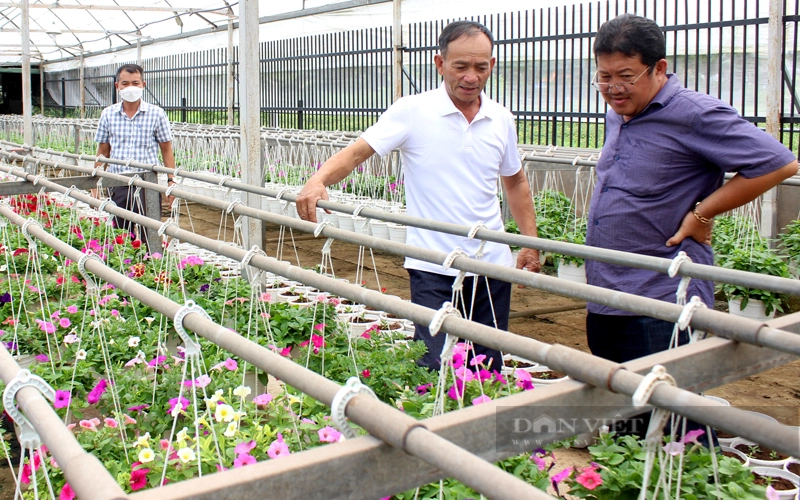 Việc phát triển các loại hình nông nghiệp đô thị như trồng rau công nghệ cao, hoa kiểng... là phù hợp bối cảnh đất sản xuất ngày càng thu hẹp. Ảnh: Nam Bình