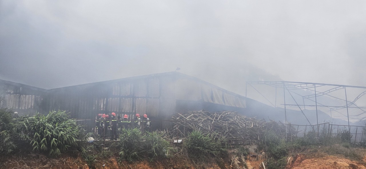 Cháy lớn tại một xưởng sản xuất nấm, thiệt hại nhiều tỷ đồng - Ảnh 1.