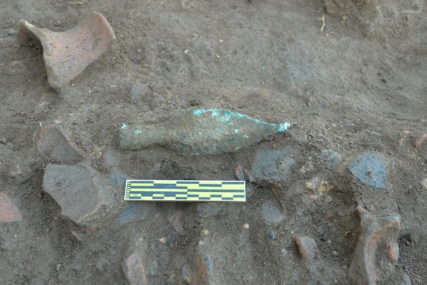 Một cổ vật là tượng thú phát lộ khi đào khai quật ở lưng chừng đồi có ngôi chùa đổ nát ở Bình Dương - Ảnh 3.