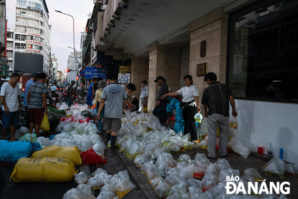 Chợ bán toàn cá cảnh ở TP Hồ Chí Minh sao nhiều người  gọi là chợ &quot;âm phủ&quot;? - Ảnh 5.