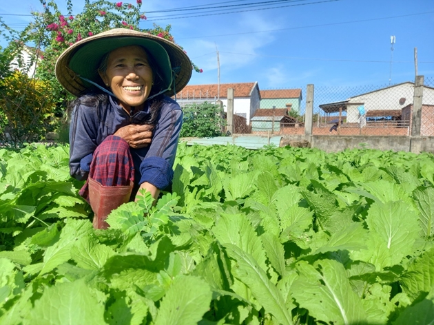 Nhặt loại rác này về ủ thành một thứ phân để trồng rau ăn lá, rau gia vị ở Bình Đinh, nhiều người mua - Ảnh 1.