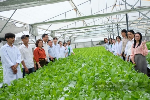 Phó Chủ tịch HND TP.Đà Nẵng: Cần có cơ chế, chính sách phù hợp cho Chi hội trưởng nông dân - Ảnh 7.
