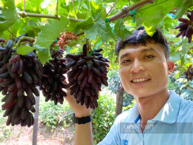 Nông dân Ninh Thuận ứng dụng công nghệ số vào quảng bá và tiêu thụ nông sản - Ảnh 4.