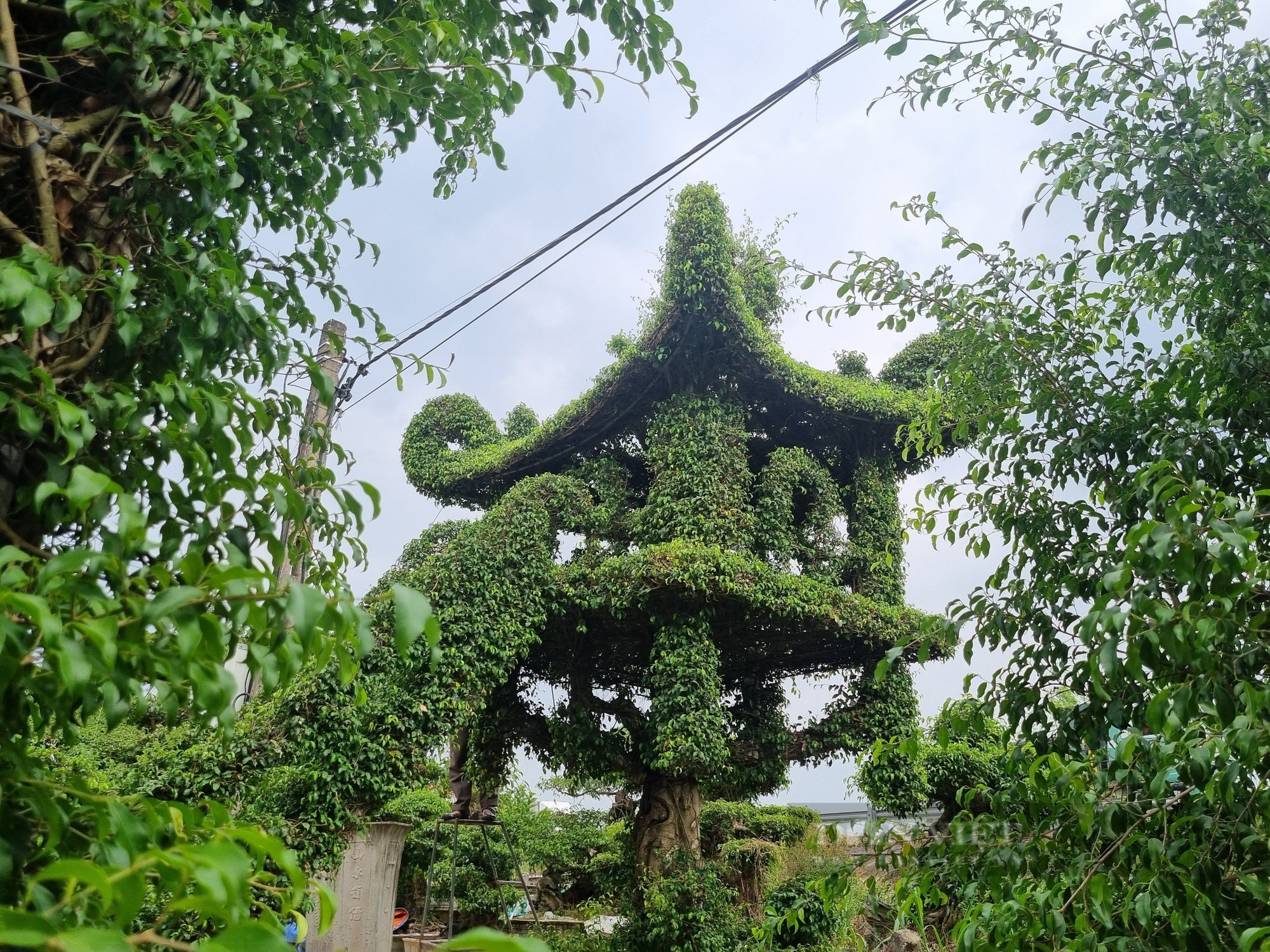 Tác Phẩm “Sanh Nam Điền mang hình dáng chùa Một Cột” - Ảnh 2.