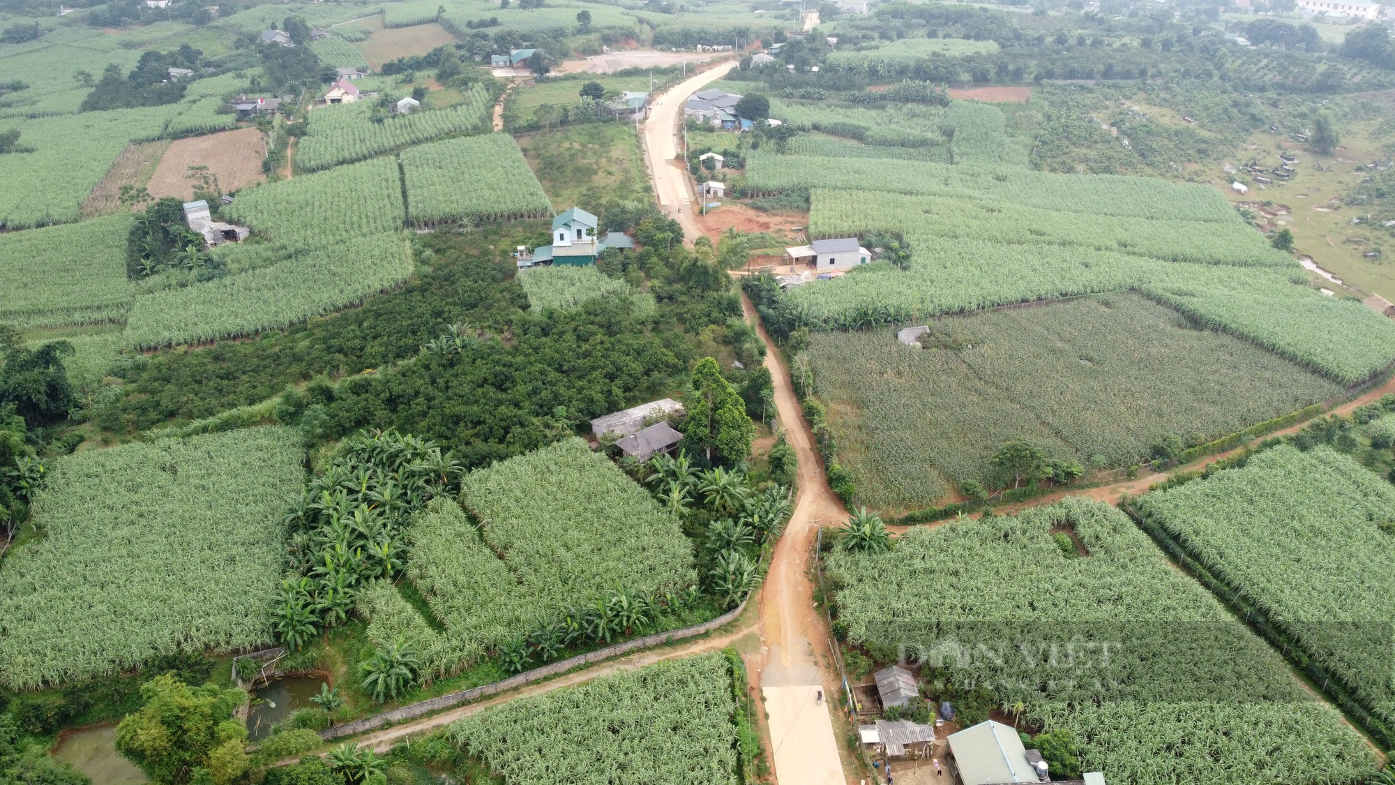 Huyện Cao Phong (Hòa Bình) phản hồi về đường bê tông hơn 80 tỷ chưa làm xong đã nứt - Ảnh 4.