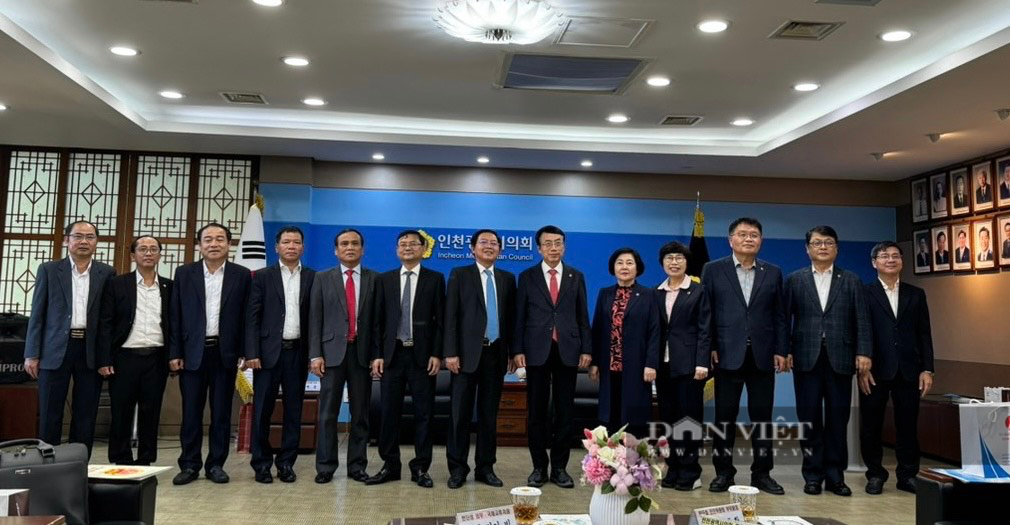 Bí thư Bình Định Hồ Quốc Dũng, Phó Chủ tịch tỉnh Nguyễn Tự Công Hoàng đi Hàn Quốc kêu gọi đầu tư - Ảnh 4.