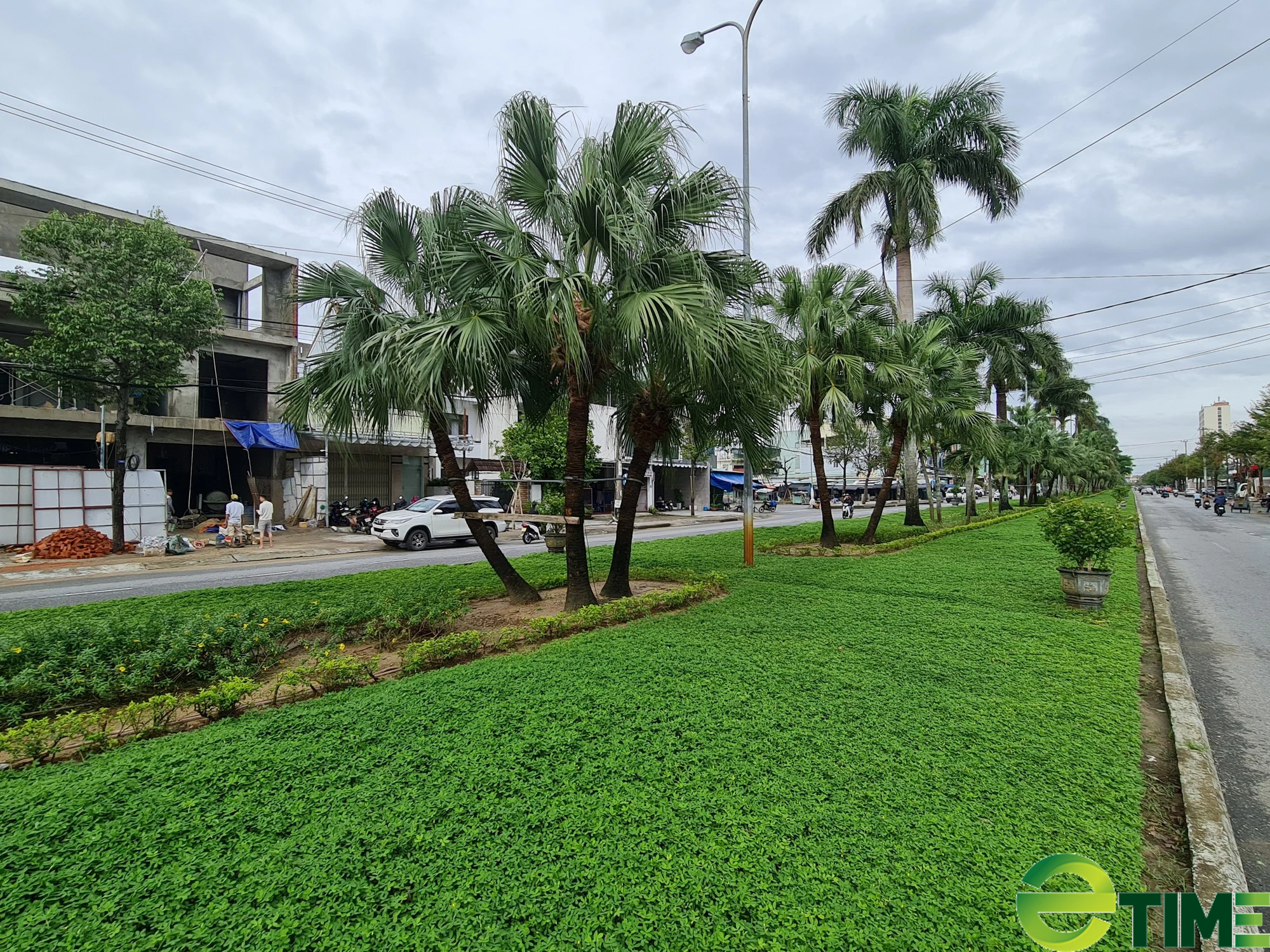 Tỉnh Quảng Nam “nghiêm cấm” dùng thuốc trừ cỏ trên các công trình giao thông  - Ảnh 1.
