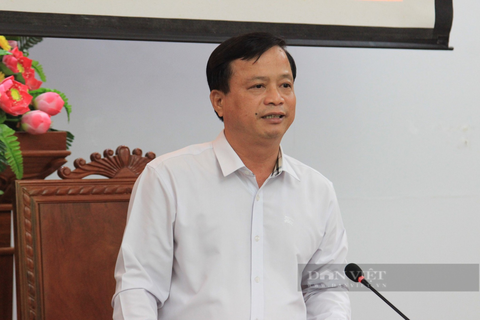 Phó Chủ tịch Bình Định: 'Dự án làm cho dân triển khai ì ạch, đổ lỗi hết xuống xã, rút cuộc đổ lên người dân' - Ảnh 2.
