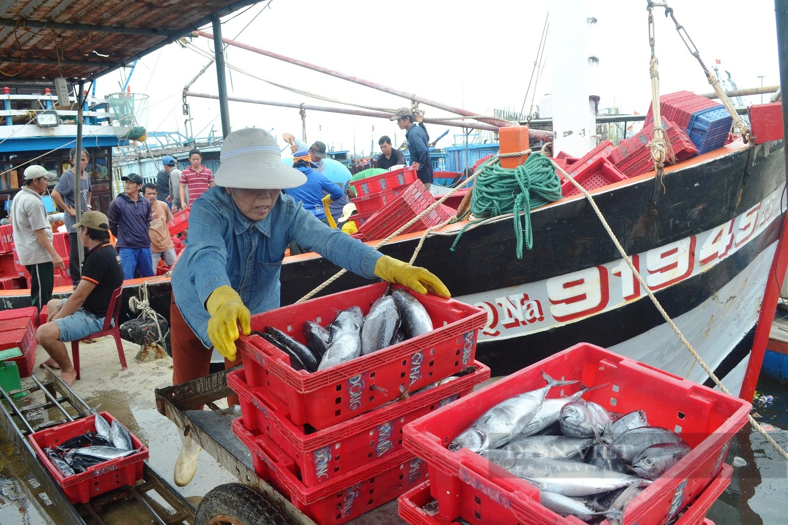 Chủ tịch HND Quảng Nam: Mỗi ngư dân là một “cột mốc” bảo vệ chủ quyền - Ảnh 12.