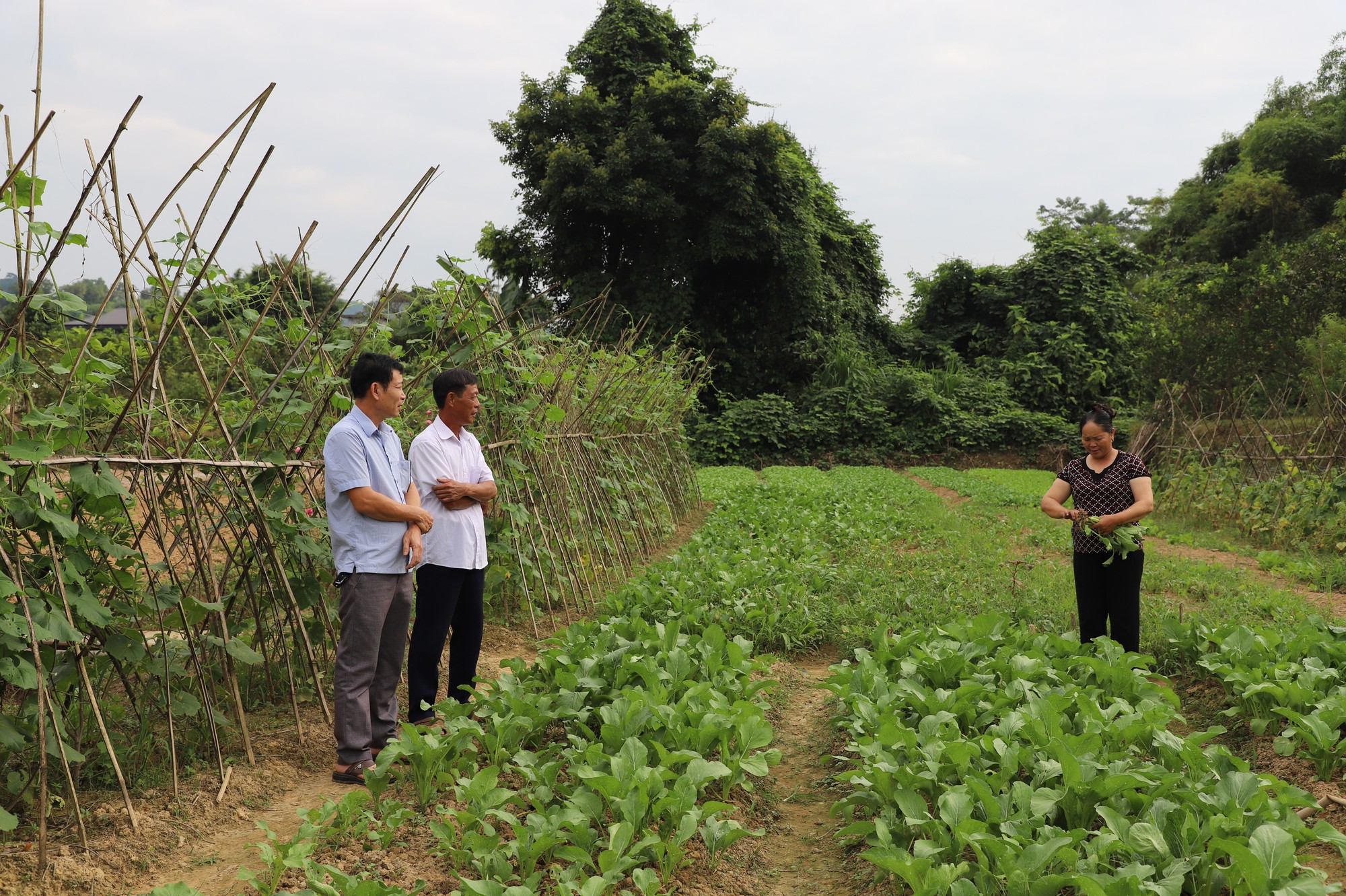 Những bài học kinh nghiệm trong xây dựng nông thôn mới ở Hà Giang - Ảnh 3.