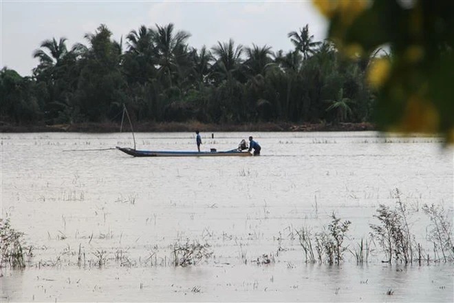 Nuôi cá ruộng mùa nước nổi ở Hậu Giang, chi phí giảm, thu lợi kép - Ảnh 1.