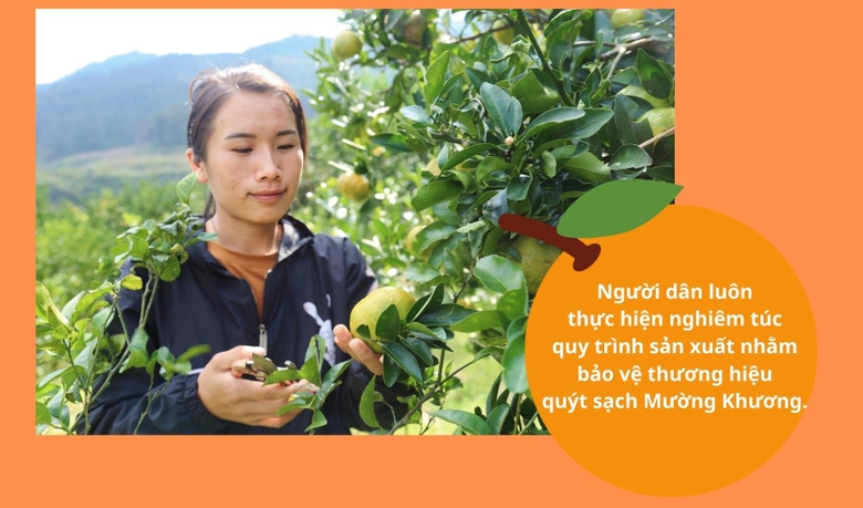 Hái loại quả thơm giàu vitamin C này bán, nhiều nhà ở một nơi của Lào Cai có của ăn của để - Ảnh 2.
