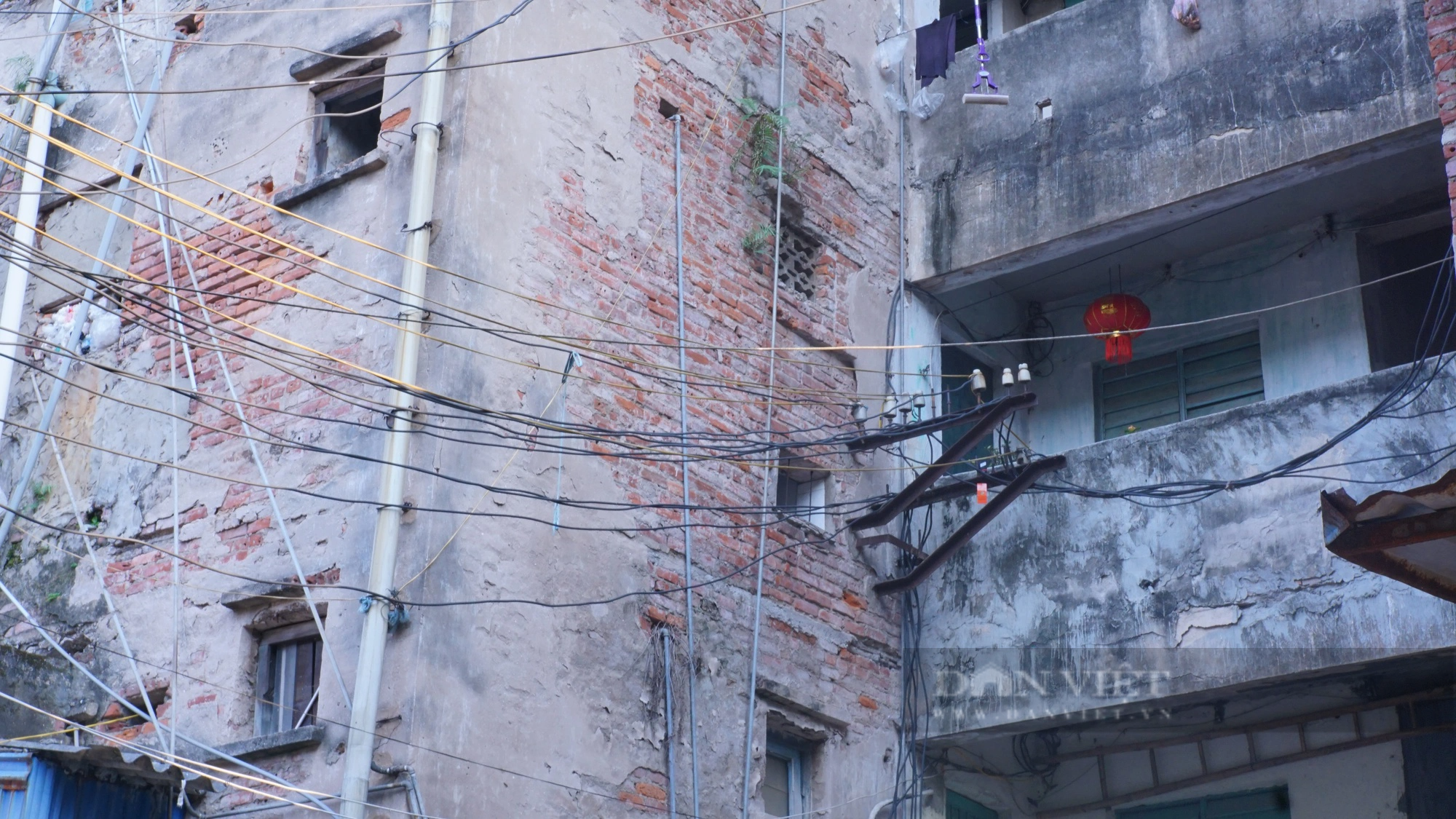 Cận cảnh khu tập thể 5 tầng tại Nam Định bong tróc, hoen gỉ, cây mọc trên tường - Ảnh 6.
