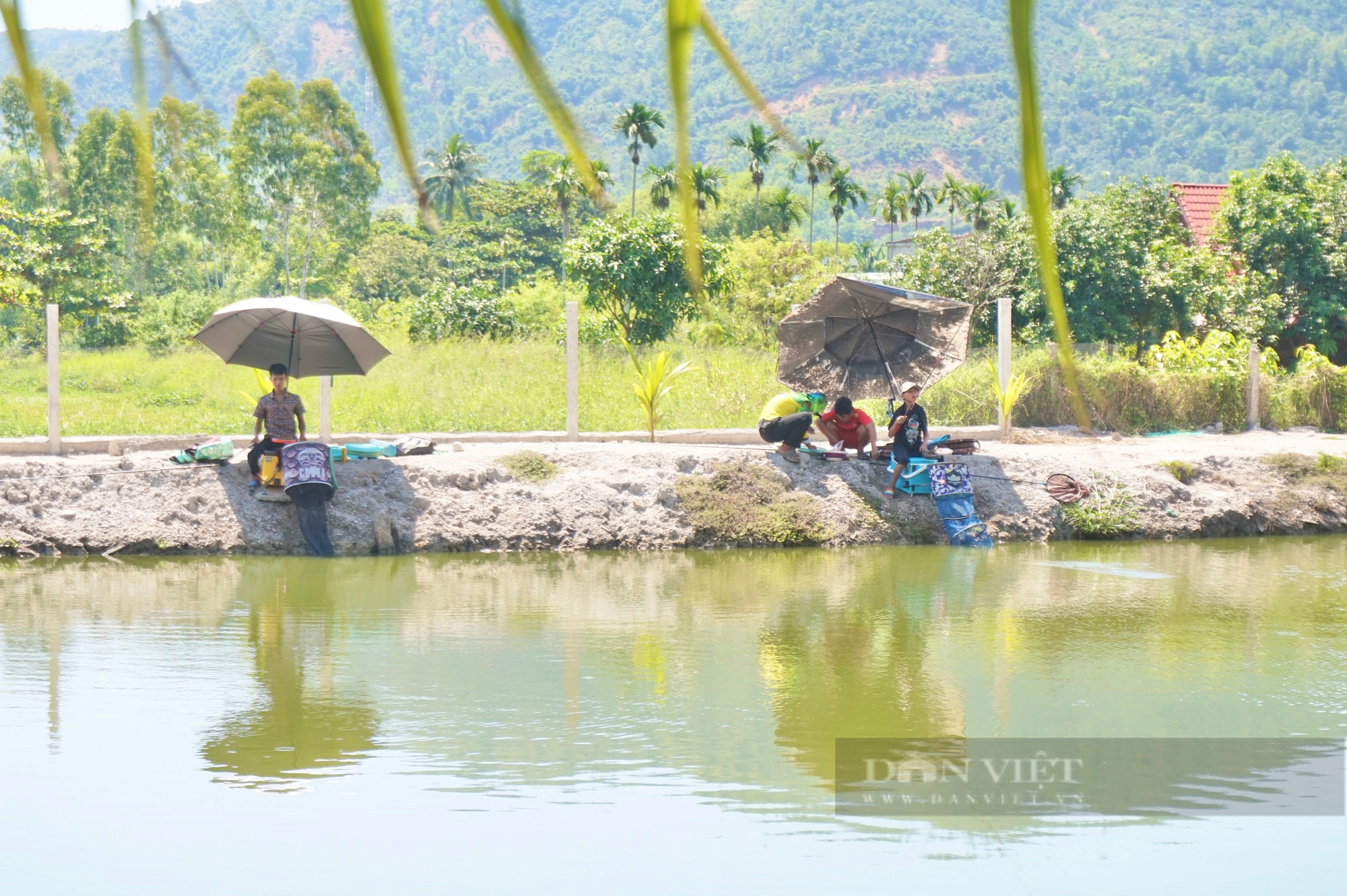 Hơn 10 năm làm Chi hội trưởng nông dân, nuôi đủ thứ con, thu lãi nửa tỷ đồng/năm  - Ảnh 3.