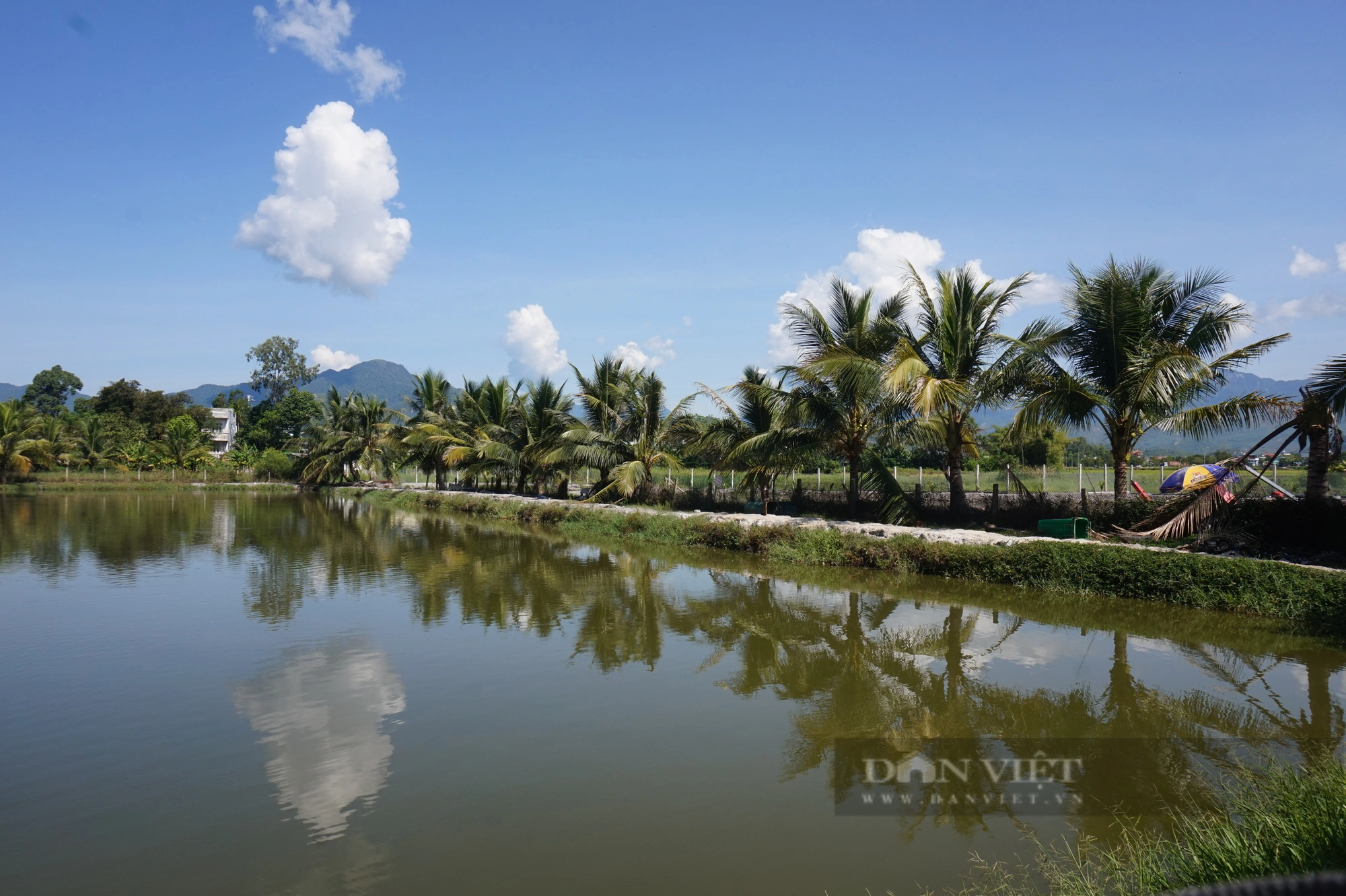 Đà Nẵng: Chi hội trưởng nông dân làm kinh tế giỏi, nhiệt tình với công tác Hội - Ảnh 3.