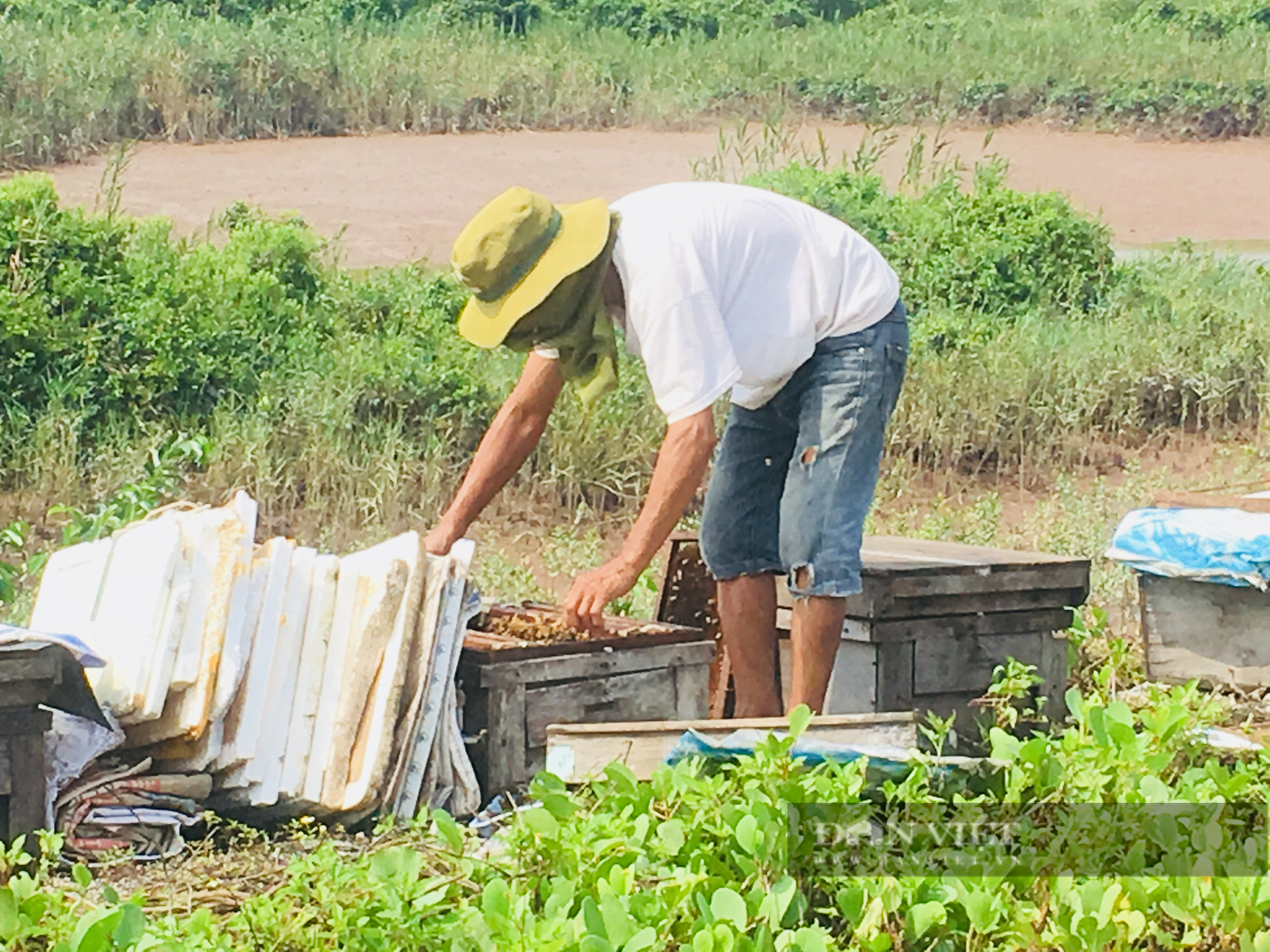 Đi tìm chữ “xanh” trong nông nghiệp: Trồng rừng hấp thụ carbon, thêm màu xanh, vừa thêm tiền tại Ninh Bình - Ảnh 9.