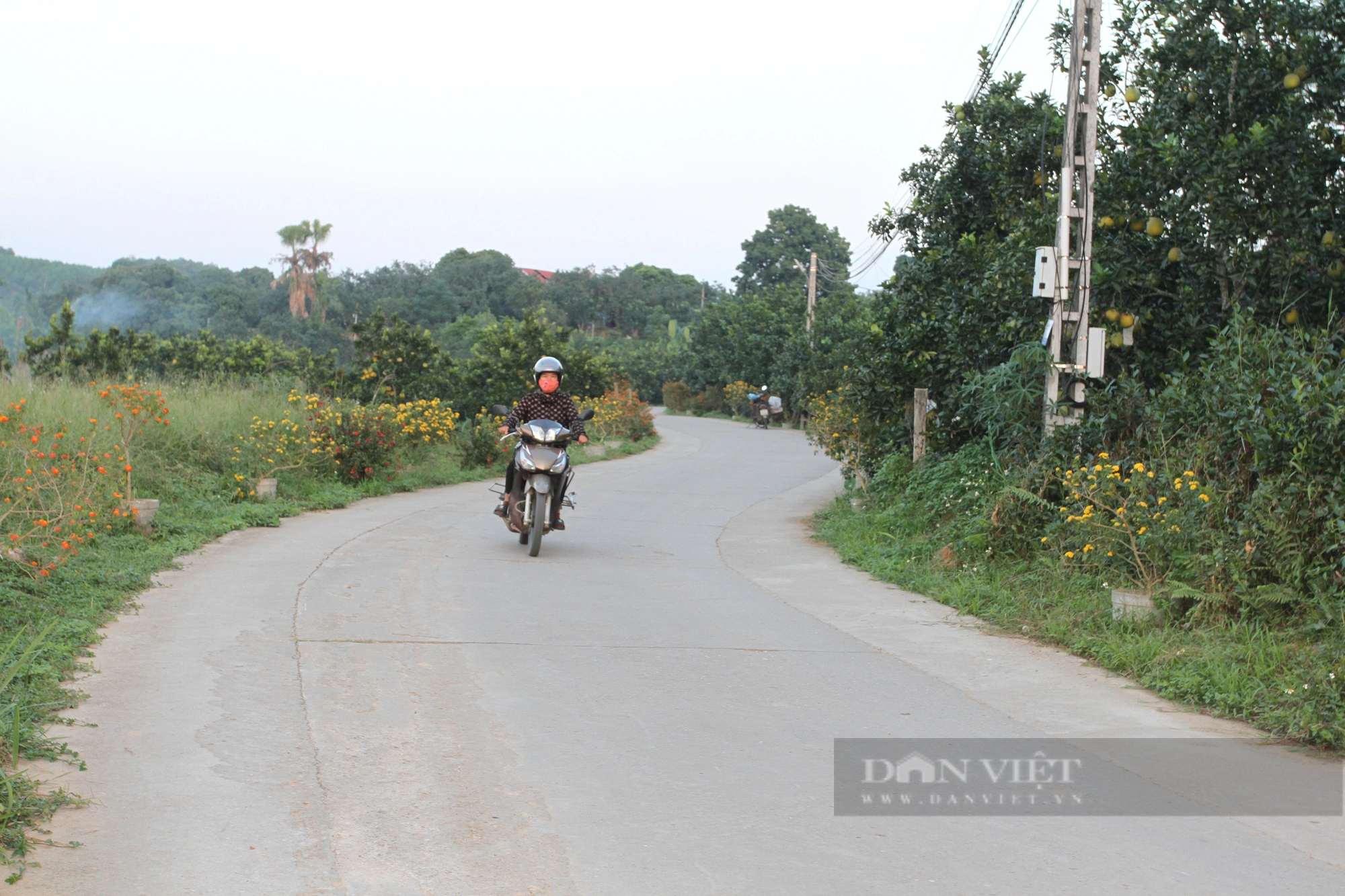 Xã Đại Minh phấn đấu trở thành xã nông thôn mới kiểu mẫu đầu tiên của huyện Yên Bình (tỉnh Yên Bái) trong năm 2023 - Ảnh 2.