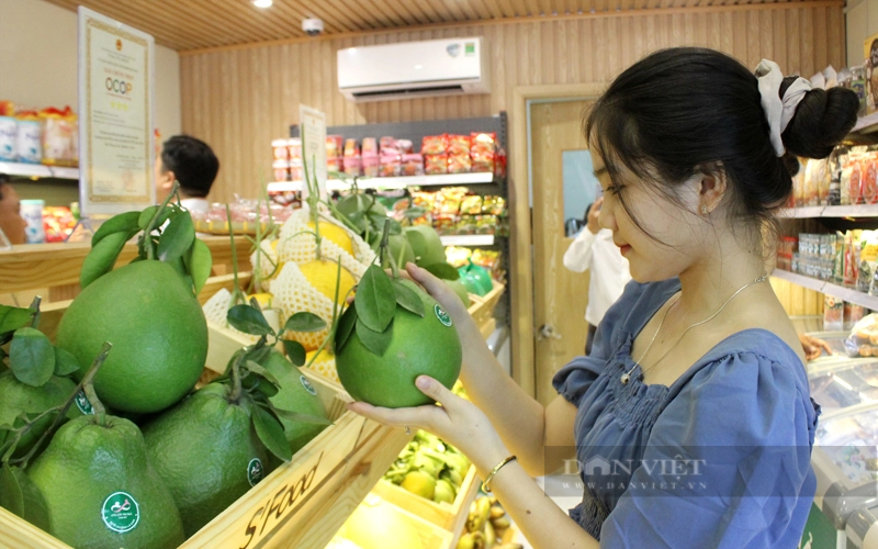 Sản phẩm bưởi đạt chứng nhận Ocop của HTX cây ăn quả Tân Mỹ bày bán trong cửa hàng tiện lợi ở Bình Dương. Ảnh: Trần Khánh