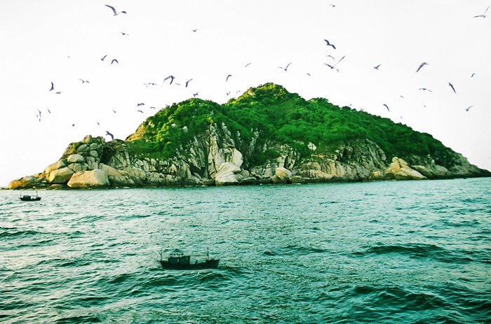 Một hòn đảo cách Đồng Hới ở Quảng Bình 60km còn hoang sơ như thế này đây, có chim hải âu quý hiếm - Ảnh 1.
