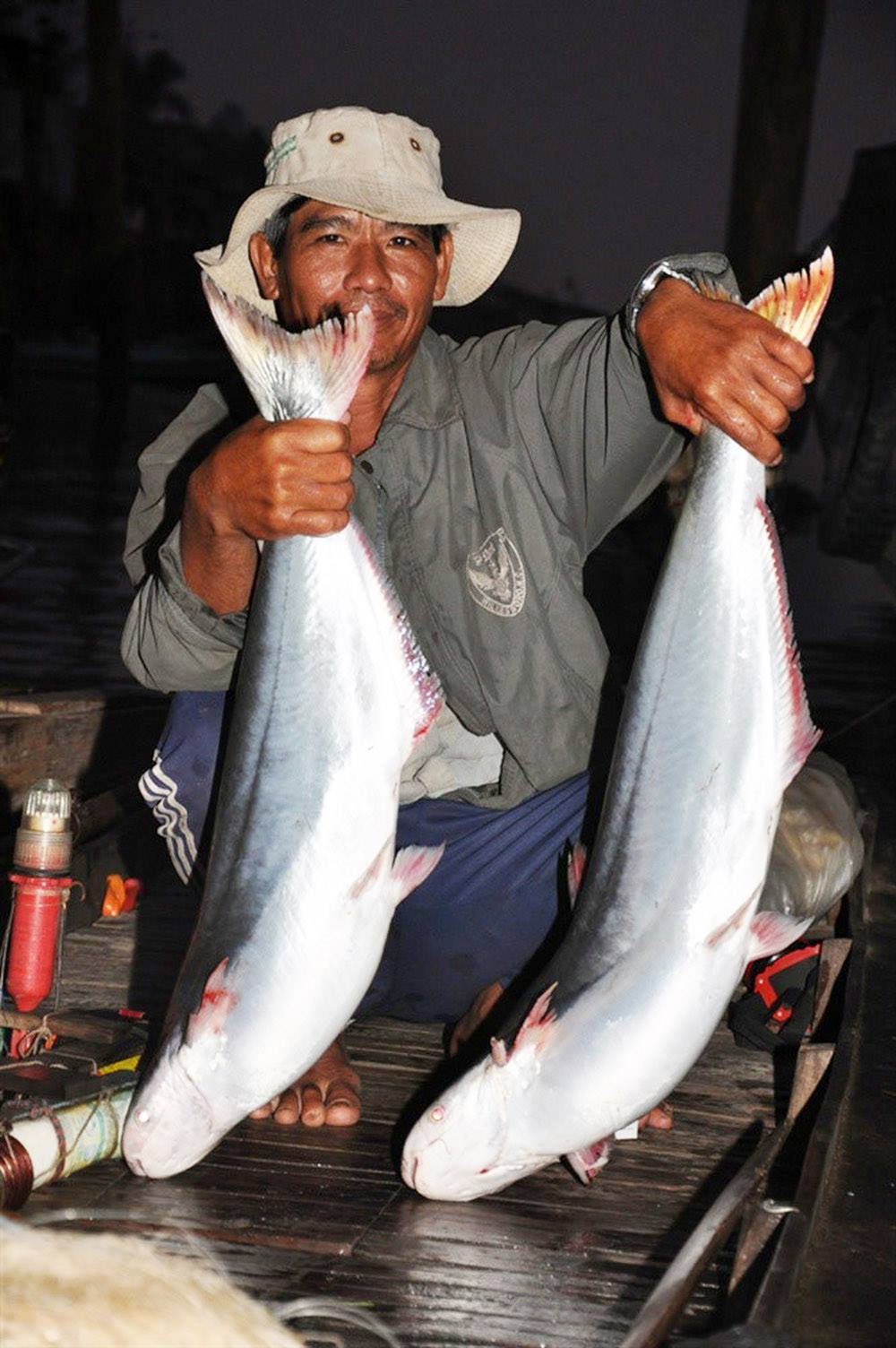 Nông dân một xã ở Trà Vinh chuyển từ nuôi tôm sang nuôi cá bông lau trong ao đất cho lợi nhuận cao - Ảnh 2.