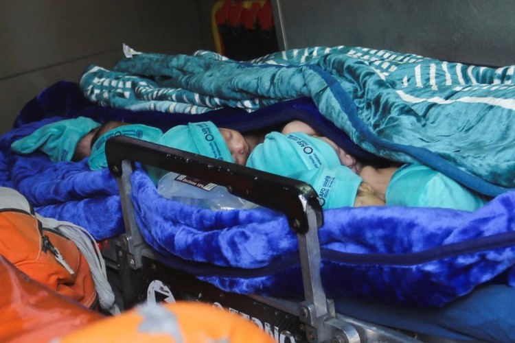 Hình ảnh hàng chục trẻ sinh non ở Gaza sơ tán đến Ai Cập - Ảnh 7.