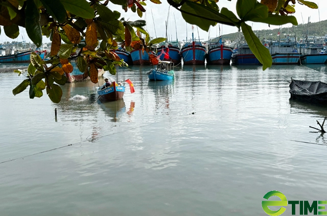 Quảng Ngãi chi nhiều trăm triệu “xoá sổ” nghĩa địa xác tàu đắm ở cảng Sa Huỳnh - Ảnh 1.