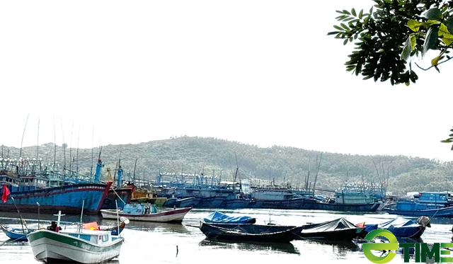 Quảng Ngãi chi nhiều trăm triệu “xoá sổ” nghĩa địa xác tàu đắm ở cảng Sa Huỳnh - Ảnh 4.