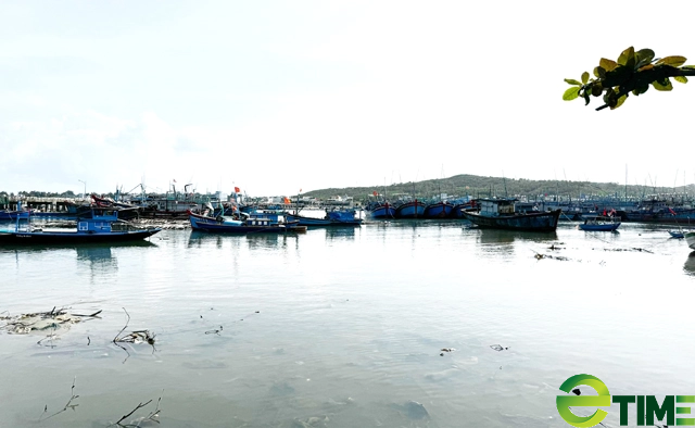 Quảng Ngãi chi nhiều trăm triệu “xoá sổ” nghĩa địa xác tàu đắm ở cảng Sa Huỳnh - Ảnh 12.