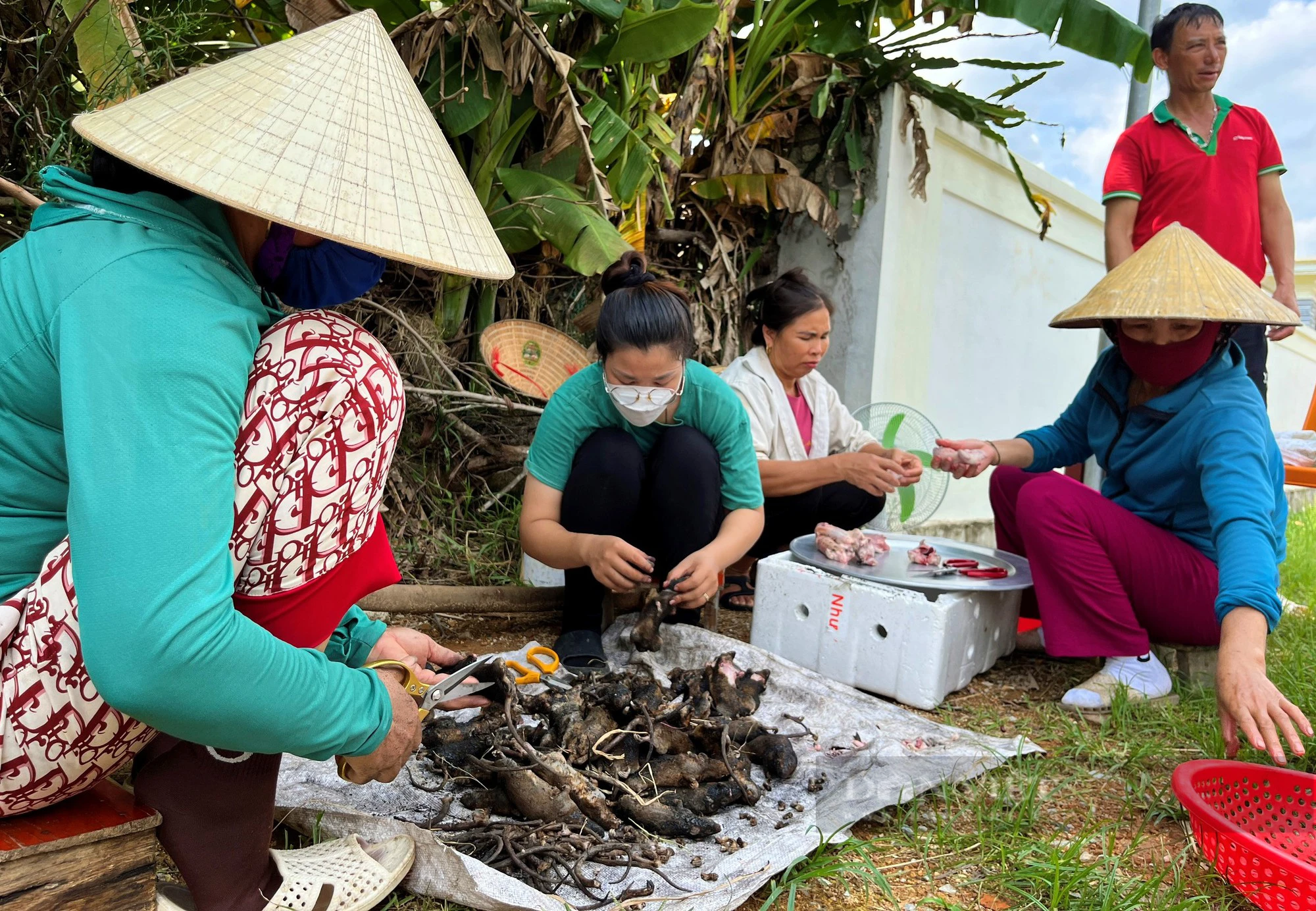 Khu chợ đặc biệt chỉ bán duy nhất chuột đồng, giá đắt đỏ mà khách vẫn tranh nhau mua - Ảnh 4.