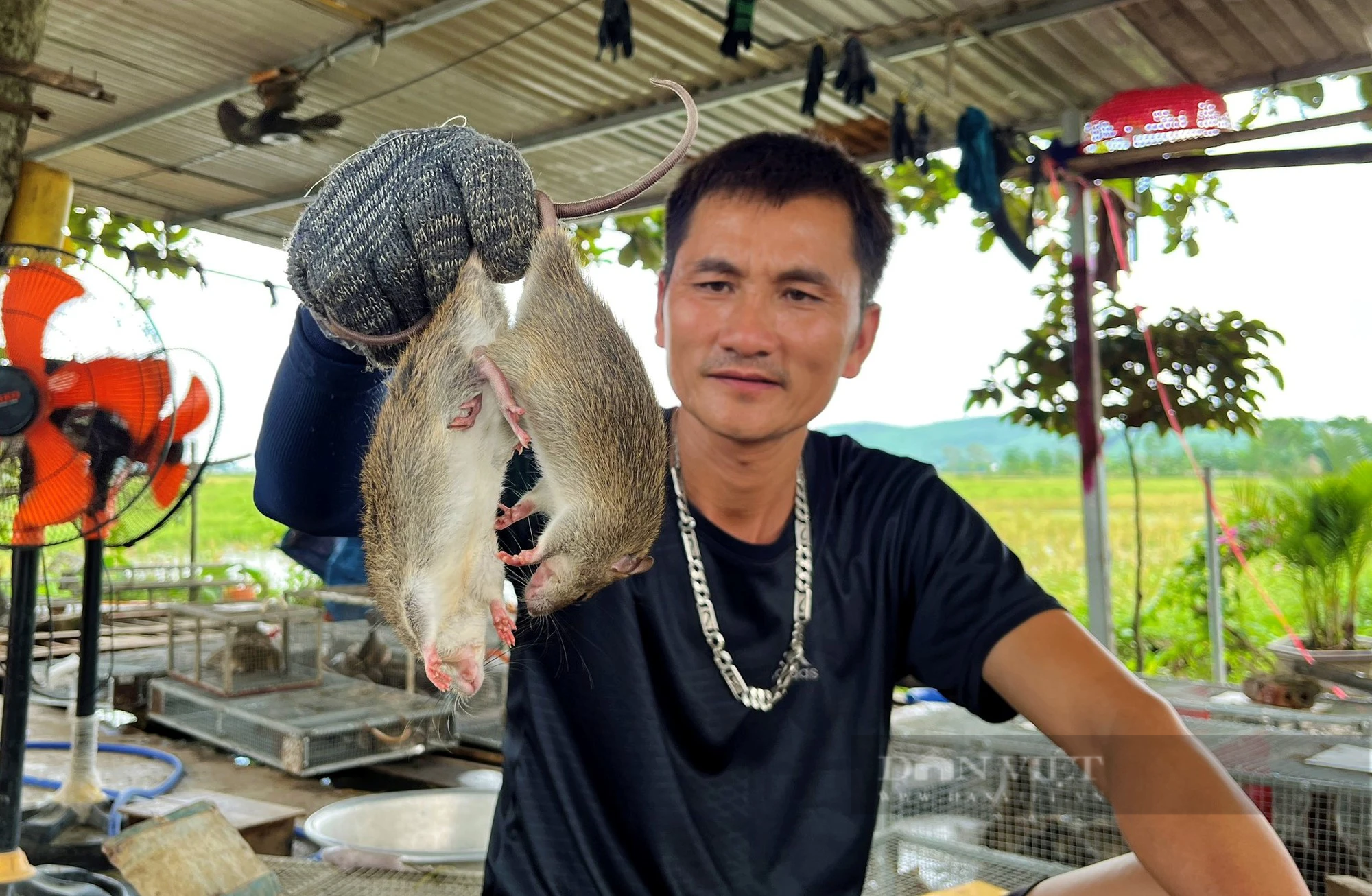 Khu chợ đặc biệt chỉ bán duy nhất chuột đồng, giá đắt đỏ mà khách vẫn tranh nhau mua - Ảnh 6.