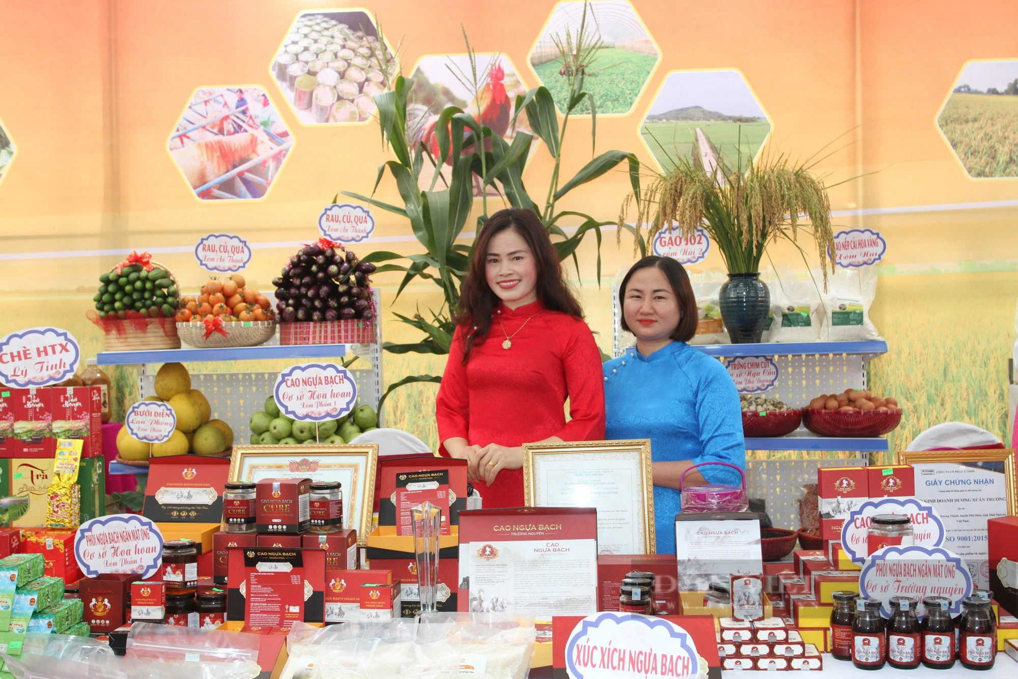Thái Nguyên: Huyện Phú Bình lần đầu tiên tổ chức chương trình xúc tiến, kết nối tiêu thụ gà đồi Phú Bình quy mô lớn - Ảnh 2.