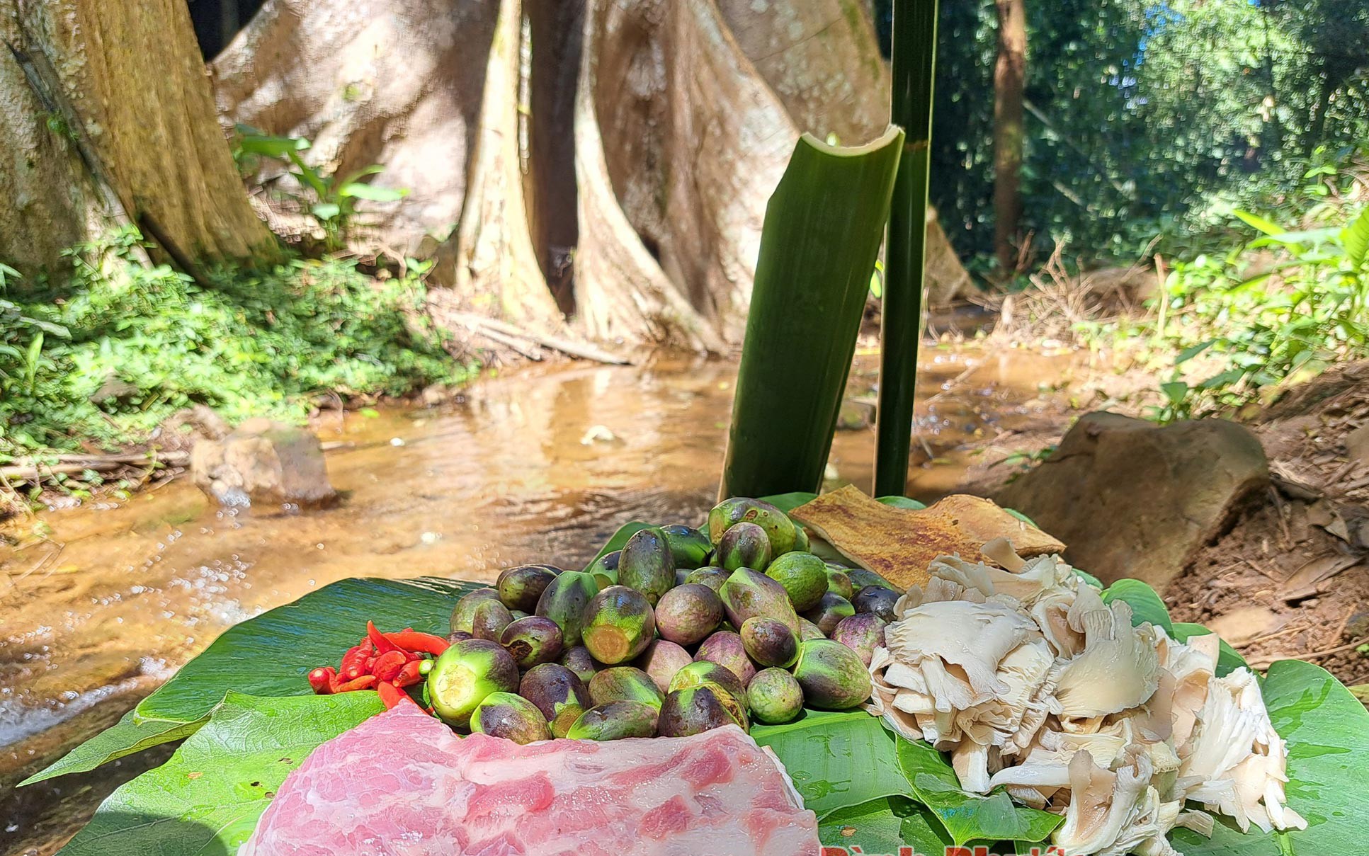 Độc, lạ một món canh sền sệt ở vùng núi Bình Phước, thịt heo rừng hòa quyện với rau rừng, quả rừng thơm phức