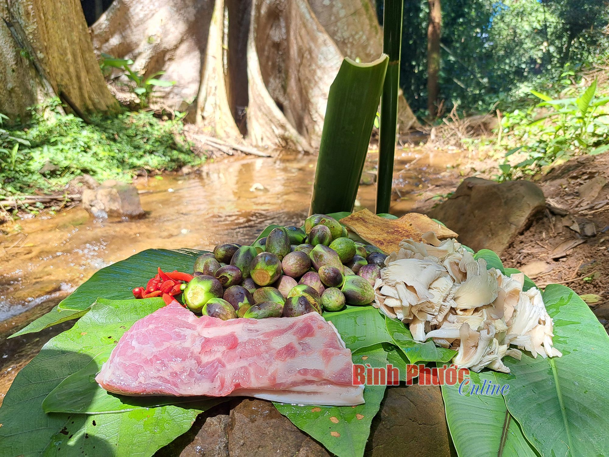 Độc, lạ một món canh sền sệt ở vùng núi Bình Phước, thịt heo rừng hòa quyện với rau rừng, quả rừng thơm phức - Ảnh 1.