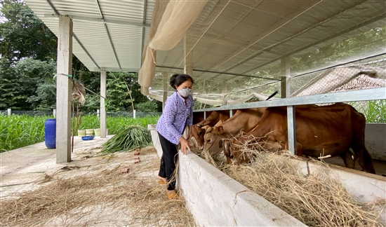 Đời sống đồng bào Khmer huyện Duyên Hải ở Trà Vinh đang tốt hơn, thu nhập bình quân đầu người tăng - Ảnh 2.