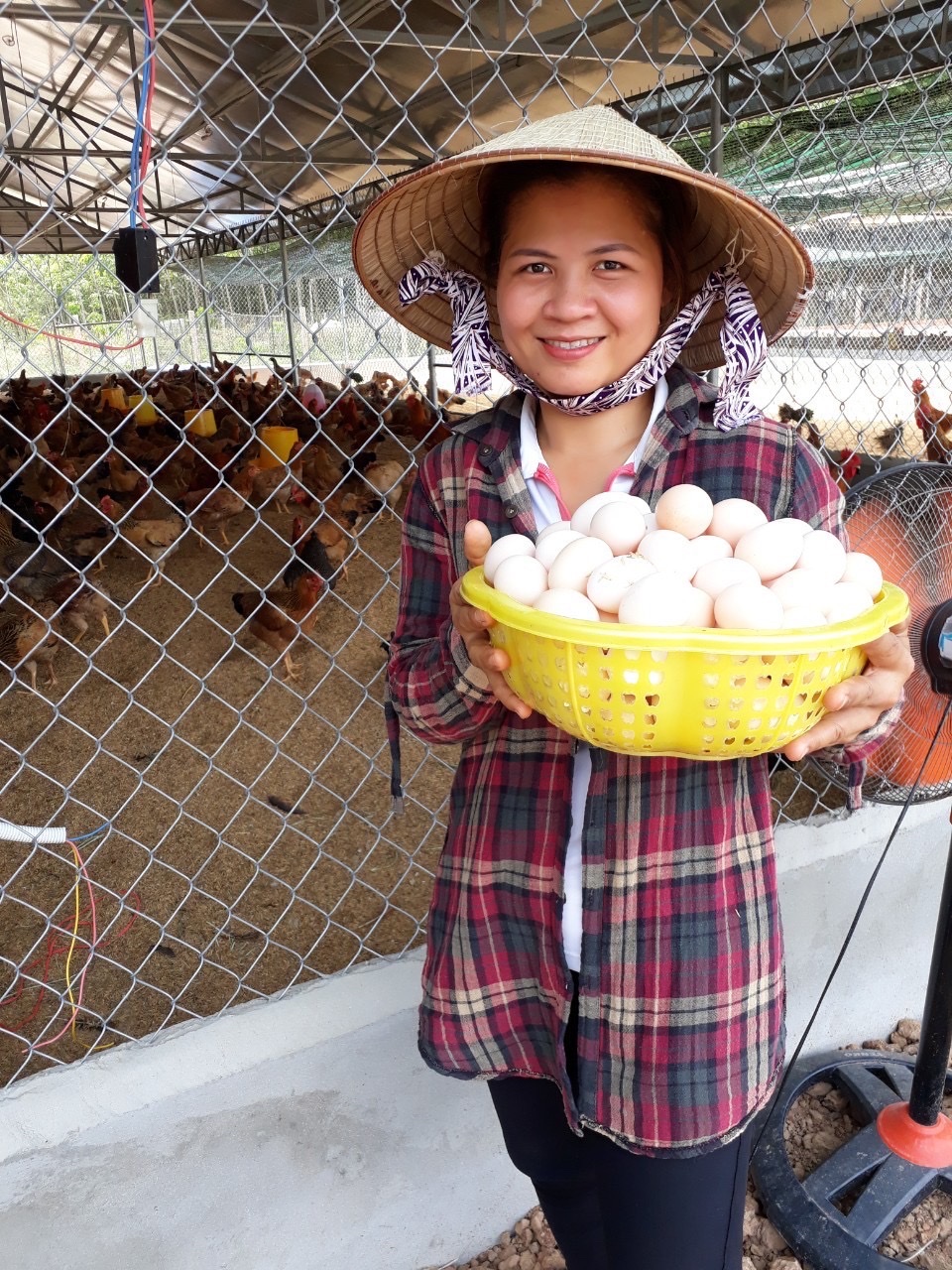 Nuôi gà đẻ, ấp bán gà giống, một nông dân Bình Phước từ cảnh khó khăn vươn lên khá giả - Ảnh 1.