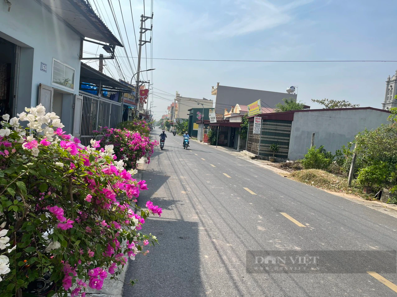 Con đường hoa “vạn người mê” ở tổ dân phố kiểu mẫu thị trấn Ninh Cường (Nam Định) - Ảnh 1.